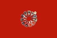 东山区回收红酒